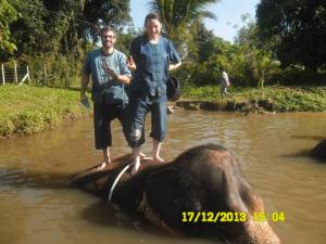 1486763_800688743280086_736700566_n