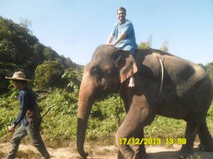 1526999_800687743280186_429890512_n