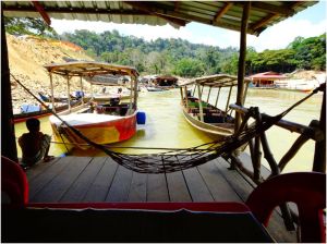 view from the restaurant