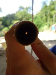 bamboo piece of the dartgun