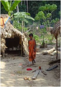 girl in brightly colored sari