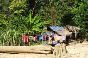 laundry and huts