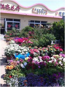 flower shops2