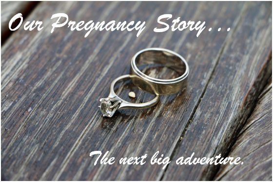 Our pregnancy story header
