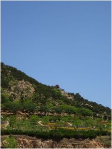 pagoda from the bottom
