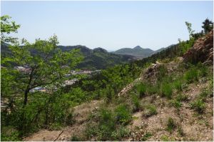 scenery with little ocean