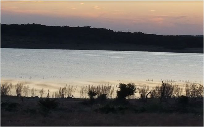 You can see at least one deer by the lakeside... at one point there were 6 or 7 of them.