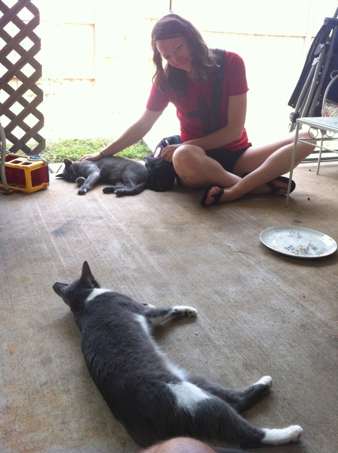 The kitty I'm petting is the one that stuck around, Little Grey.