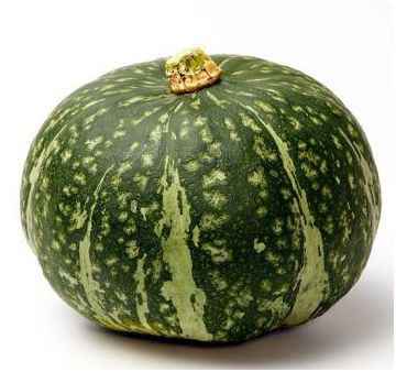 kambocha squash