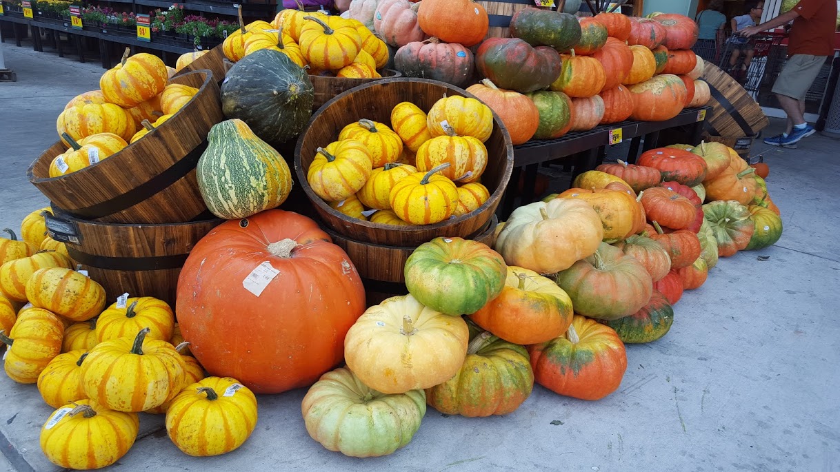 pumpkins