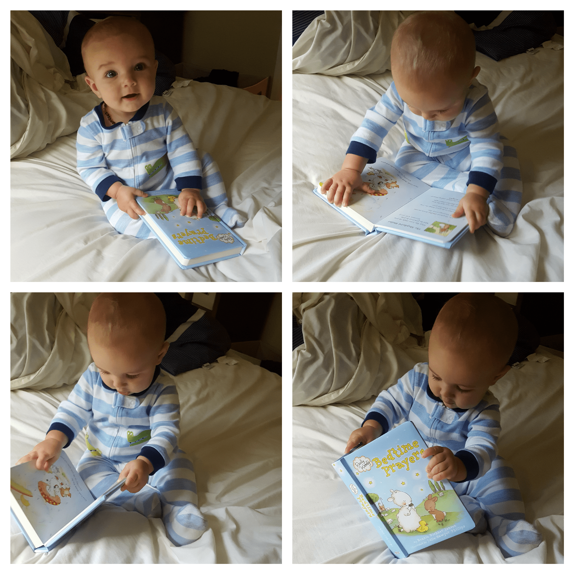 Photo_2016-06-02_12-45-52_PM