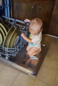 dishwasher