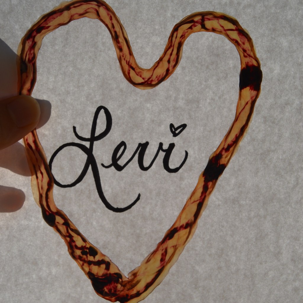 Levi’s birth: A photographic&nbsp;journey