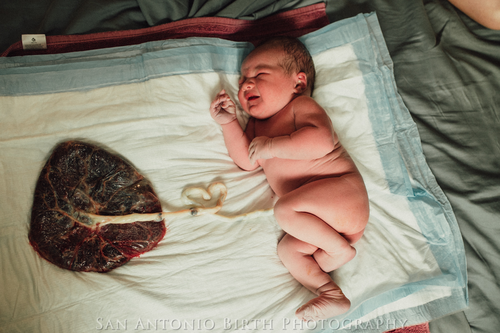 web_20180519-DSC_4596